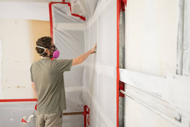 Best Post-Construction Mold Inspection  in Hutchinson Island South, FL