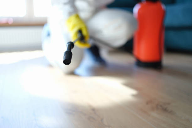 Professional Mold Removal in Hutchinson Island South, FL