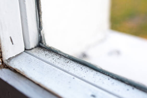 Best HVAC Mold Inspection and Cleaning  in Hutchinson Island South, FL