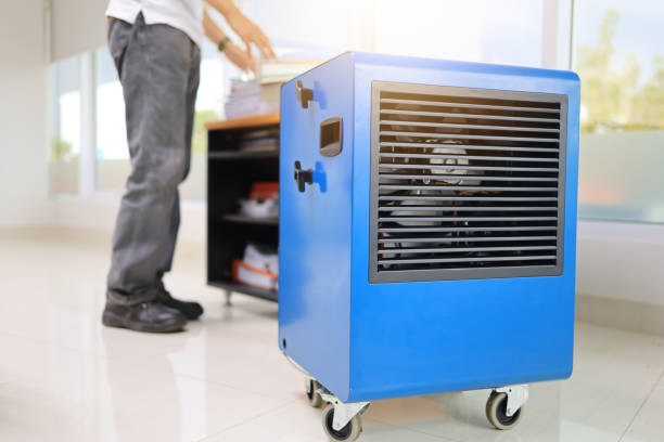 Best Forensic Mold Investigation  in Hutchinson Island South, FL