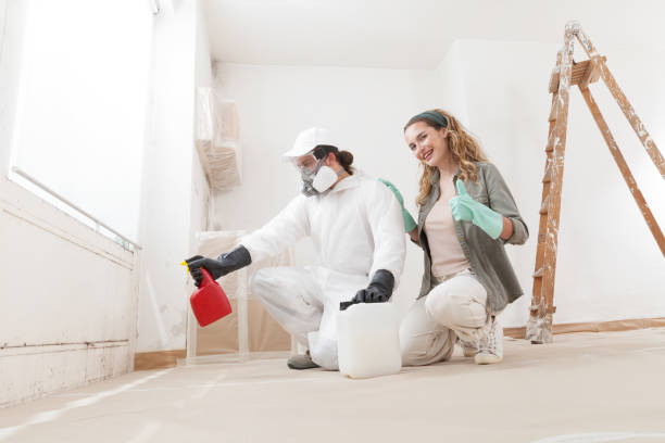 Best Black Mold Removal  in Hutchinson Island South, FL
